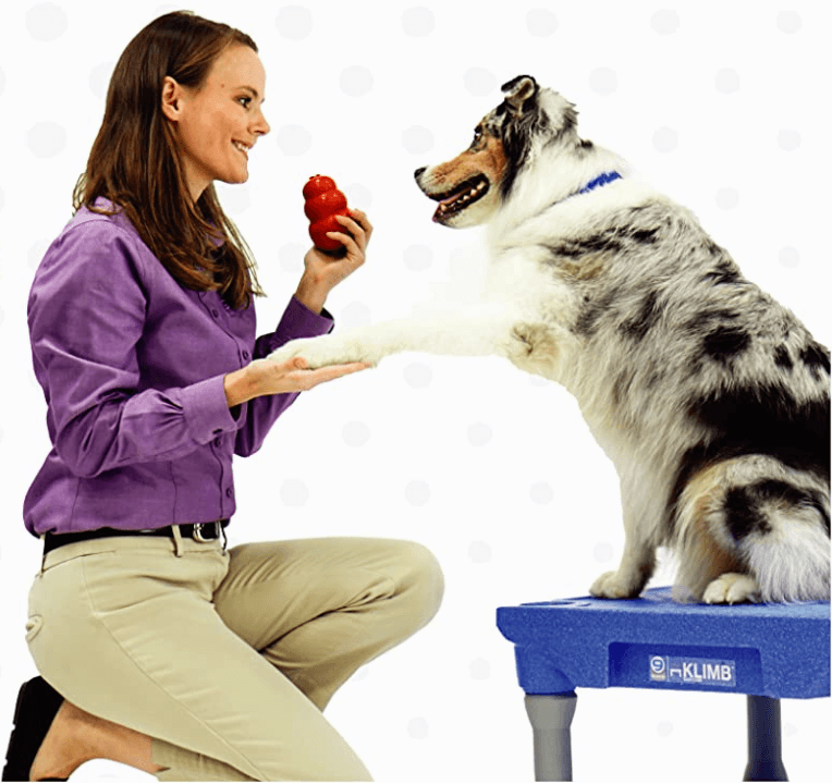 HINGE Delivers DoubleDigit Gains On Black Friday / Cyber Monday 2020