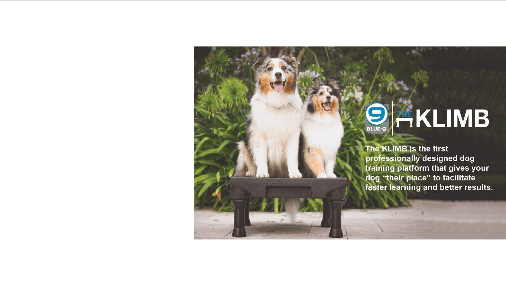 Blue9 Pet Products Hinge Commerce