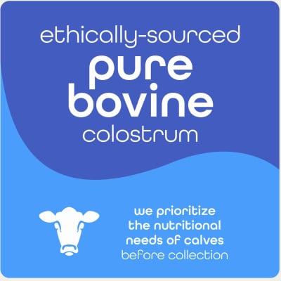 Zena_Portfolio_MT_18