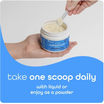 Zena_Portfolio_MT_21